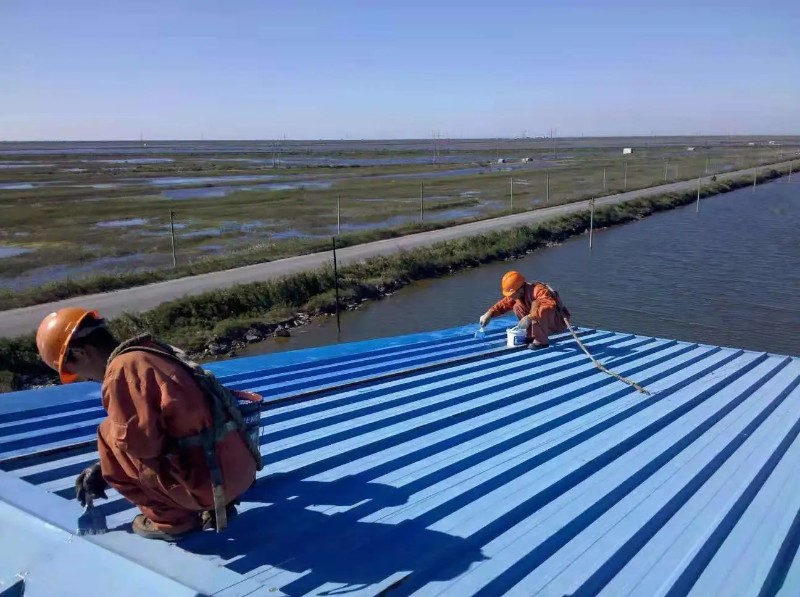 秦淮彩钢瓦屋面防腐翻新